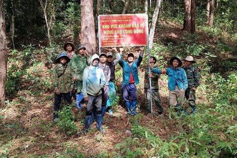 Kon Rẫy: Người dân hưởng lợi từ nhận khoán bảo vệ rừng