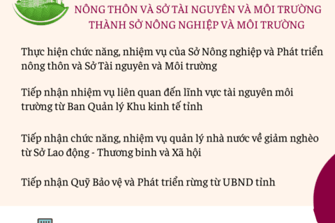 Sáp nhập, thành lập và kết thúc hoạt động một số cơ quan thuộc UBND tỉnh